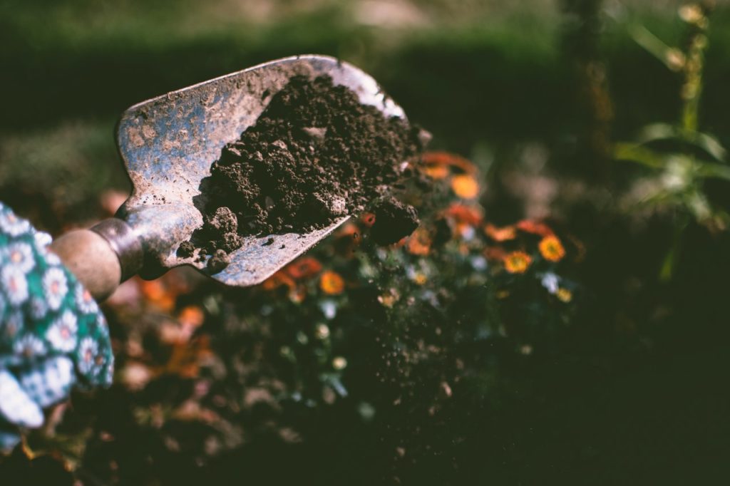 A great outdoor activity is gardening. 